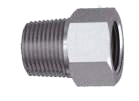 Adapter (BSPP to NPT)