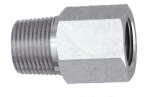 Adapter (NPT to BSPT)