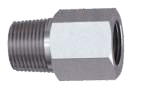 Adapter (BSPT to NPT)